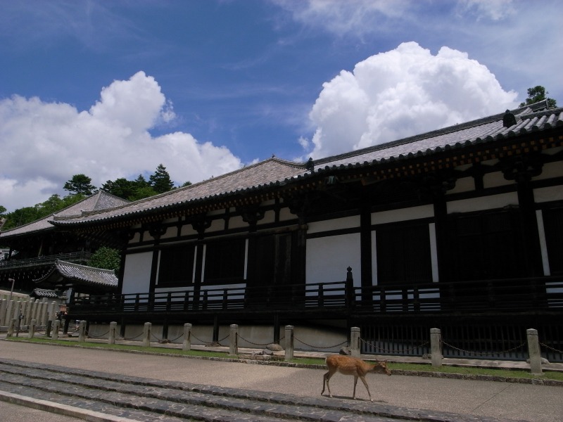 二月堂～東大寺ミュージアム_e0145711_225745100.jpg