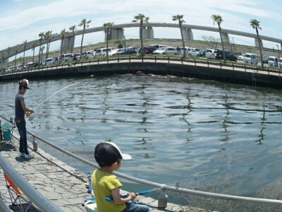 e0266211_1591493.jpg
