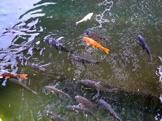 c0248013_21463387.jpg