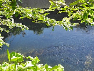 c0248013_214685.jpg