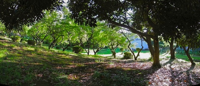 c0248013_21485131.jpg