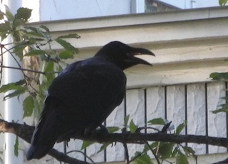 c0248013_215148.jpg