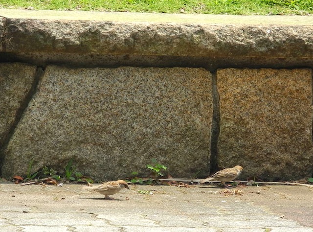 c0248013_2154845.jpg