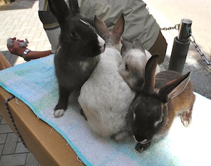 c0248013_2215985.jpg