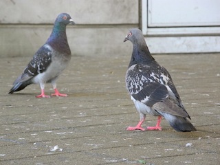 c0248013_226610.jpg