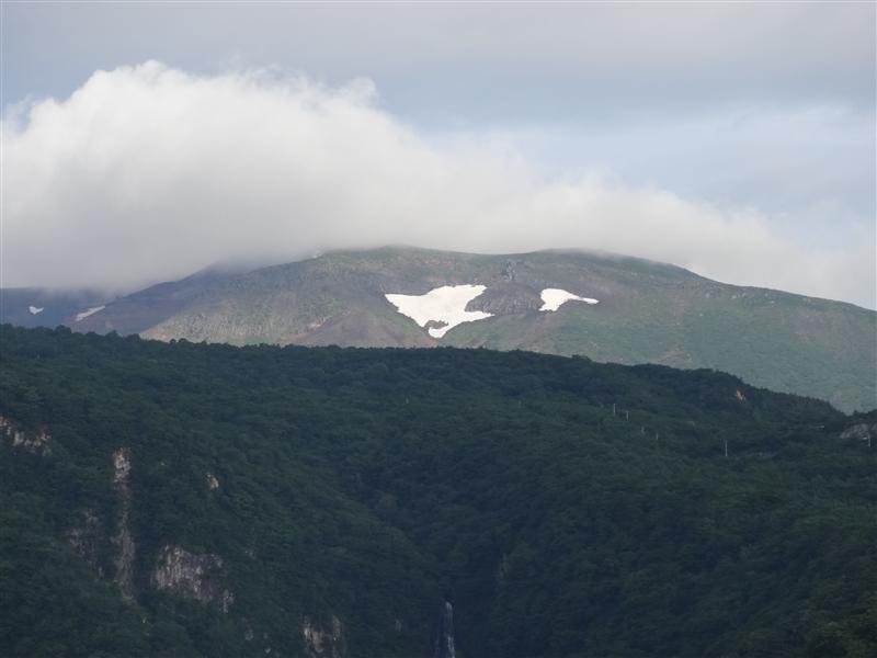 中蔵王・シンデレラ登山でコマクサの大群落…。_a0127015_19272556.jpg