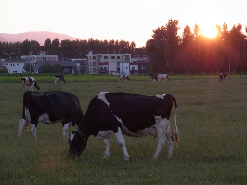 c0025115_20122884.jpg