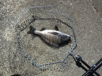 f0031423_21385629.jpg