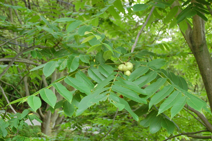 b0195924_20512963.jpg