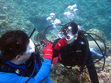 d0107725_1861052.jpg
