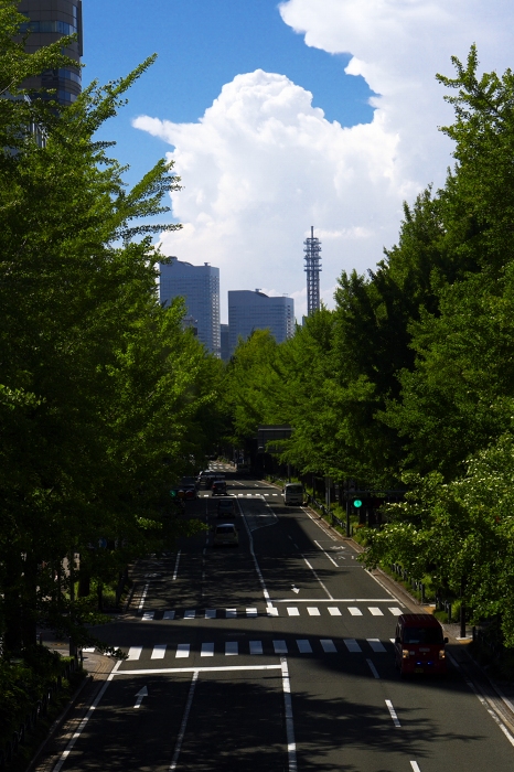 120717 関東梅雨明け　横浜晴天_f0115326_1815583.jpg