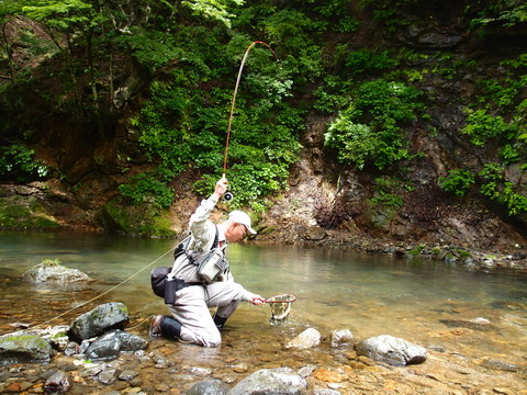 c0202727_2246307.jpg