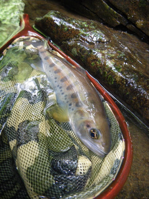 c0202727_22471521.jpg