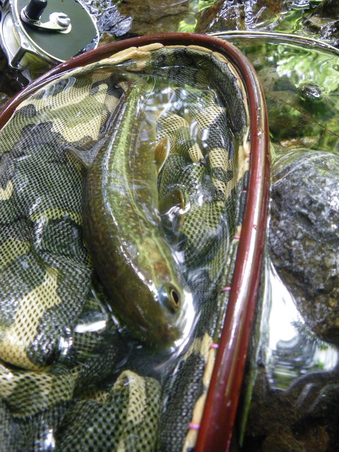 c0202727_2247314.jpg