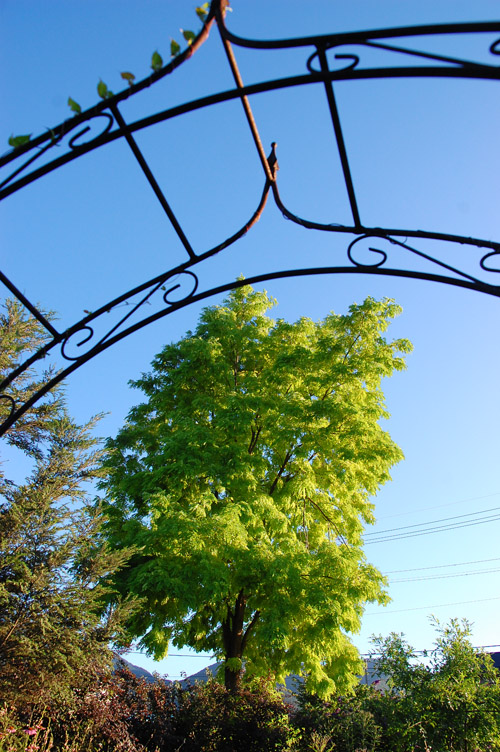 c0107129_4113693.jpg