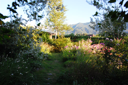 c0107129_49166.jpg