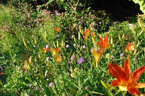 c0107129_49174.jpg