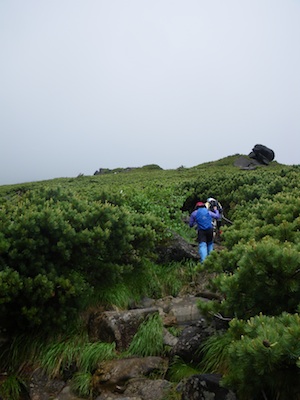 e0156534_1424921.jpg