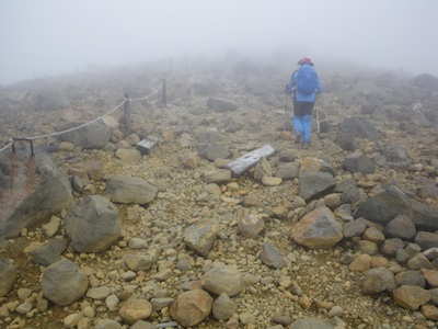 e0156534_1435846.jpg