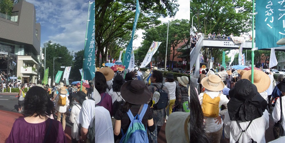 7/16　さようなら原発　10万人集会(3)_c0111535_22294515.jpg