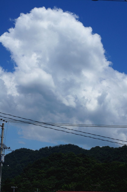 d0241937_14402578.jpg