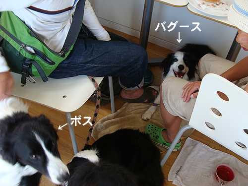 e0142838_12165691.jpg
