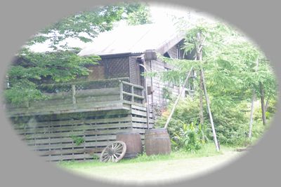 f0225639_21431917.jpg