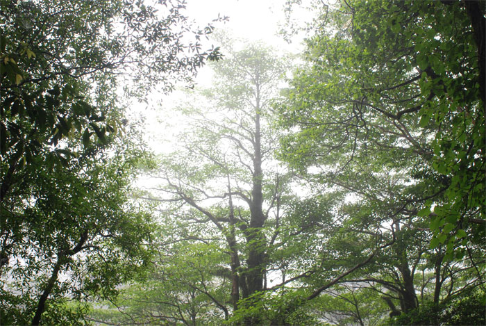 f0229844_21103158.jpg