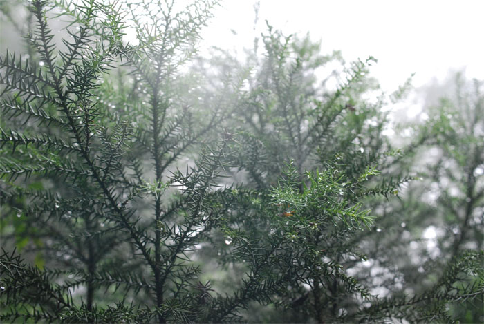 f0229844_211137.jpg