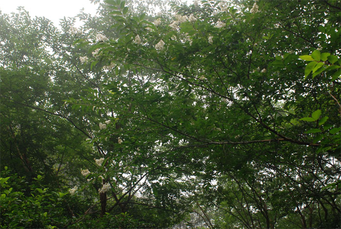 f0229844_21135398.jpg