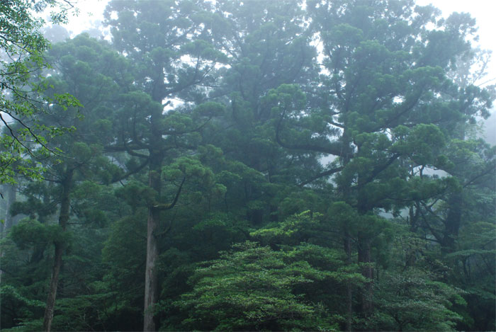 f0229844_2121859.jpg