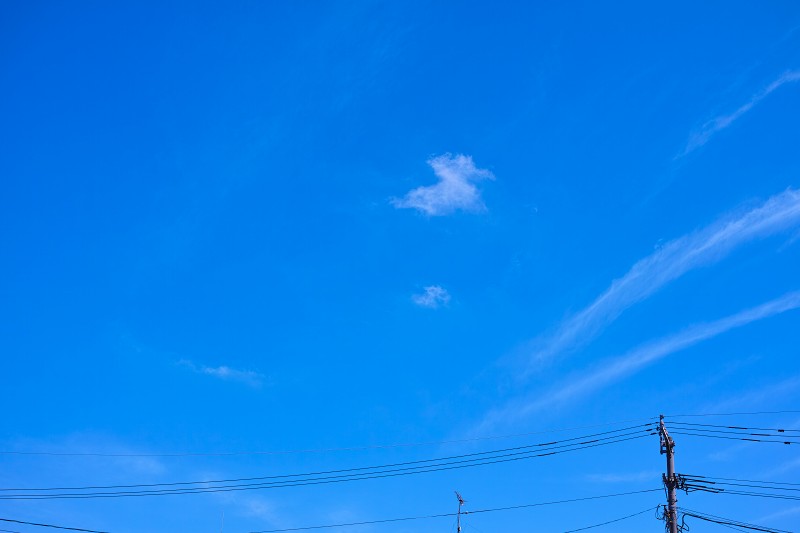 f0002946_2244855.jpg
