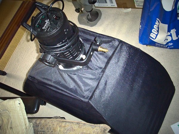 b0229648_4555261.jpg