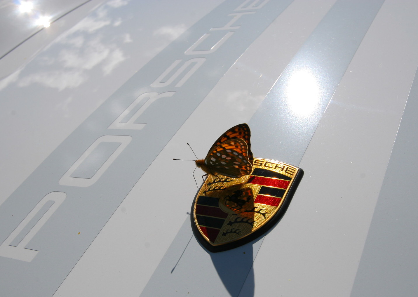 f0091448_02956.jpg