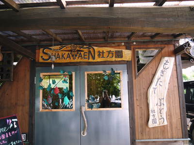 熊本ぶどう 社方園 その3_a0254656_193551.jpg