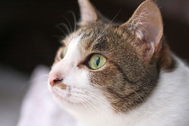 e0220163_1517547.jpg