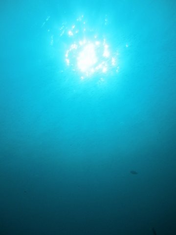 f0238563_11079.jpg
