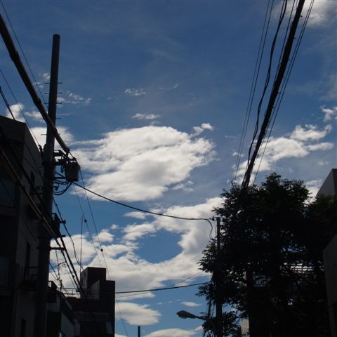 a0123465_0424840.jpg