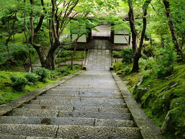 常寂光寺青紅葉_c0218766_22112238.jpg