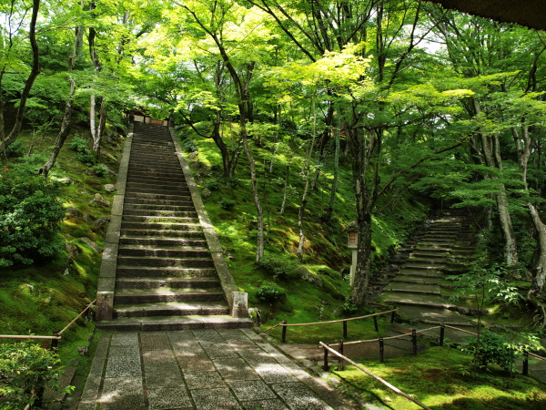 常寂光寺青紅葉_c0218766_2242334.jpg