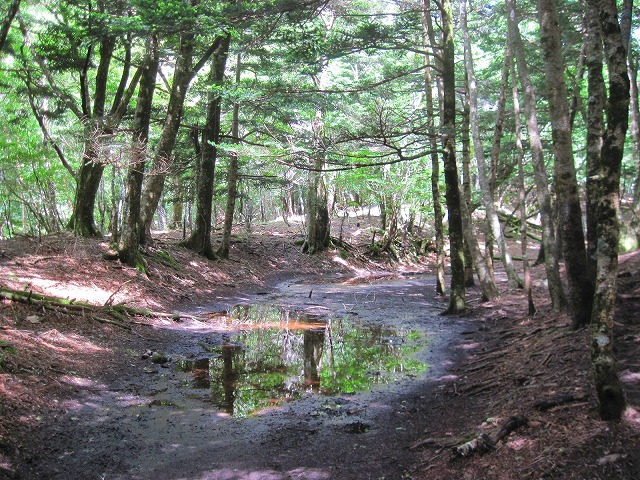 c0219866_18575665.jpg