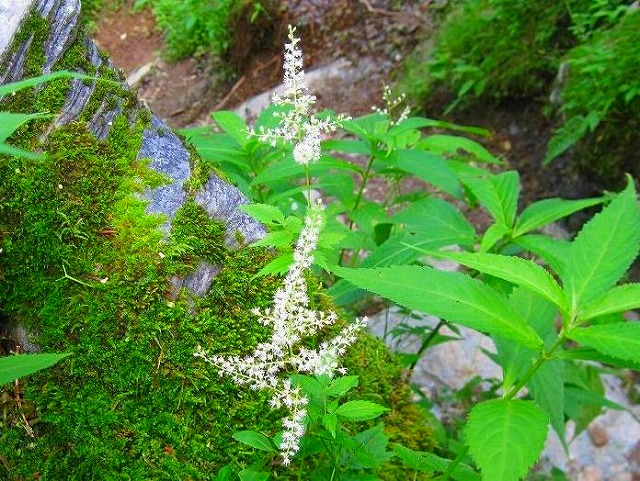 c0219866_18594259.jpg