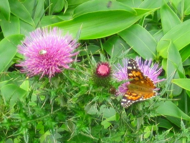 c0219866_190235.jpg