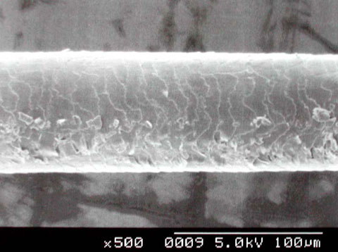 c0080367_120263.jpg