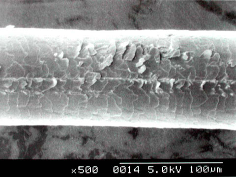c0080367_121141.jpg