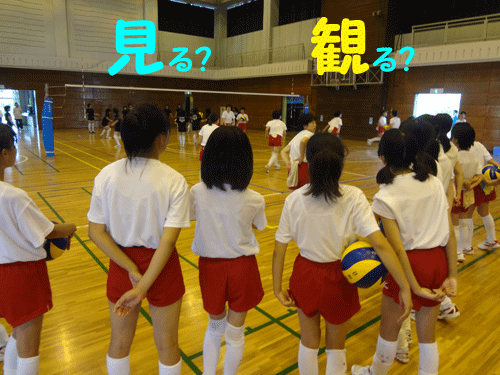 つくば_c0000970_1131071.gif