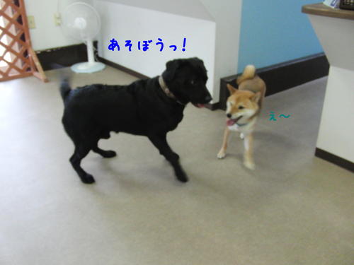 f0189870_1542233.jpg