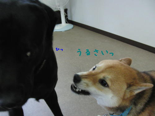 f0189870_1543968.jpg