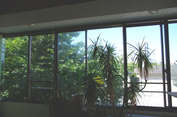 f0054677_822323.jpg