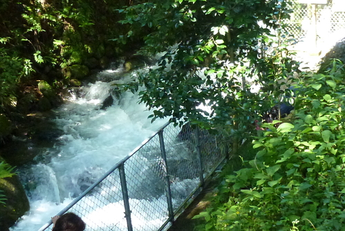 b0224178_2132156.jpg